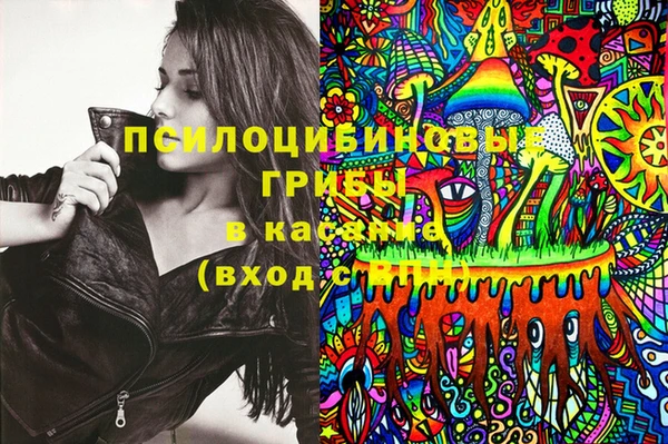 марихуана Гусиноозёрск