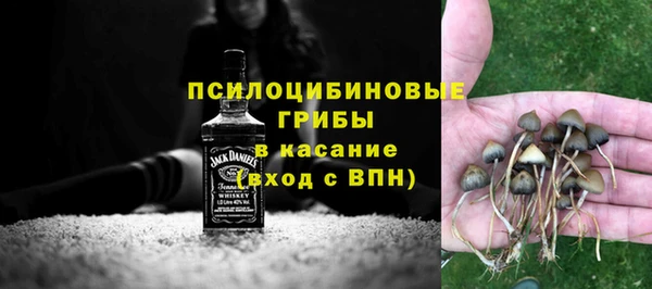 марихуана Гусиноозёрск