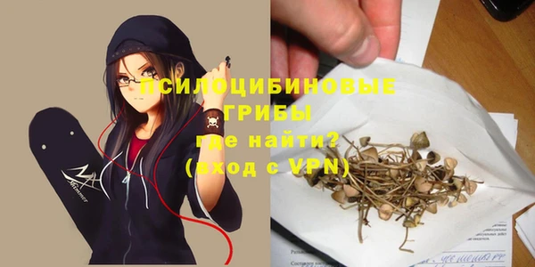 spice Гусь-Хрустальный