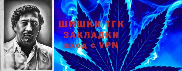 spice Гусь-Хрустальный
