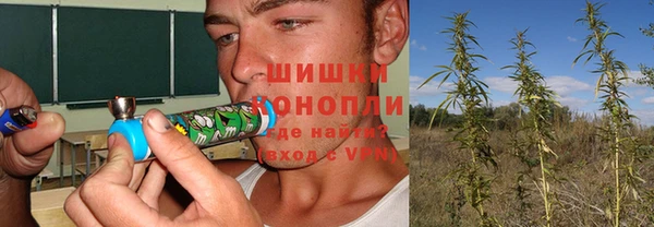 spice Гусь-Хрустальный
