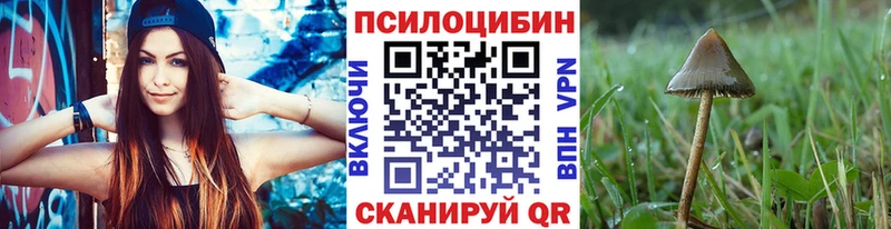 Купить закладки Мыски Псилоцибиновые грибы Psilocybine cubensis
